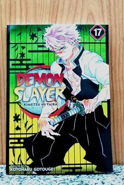 Demon Slayer: Kimetsu no Yaiba, Successors Vol.17 (English Version)