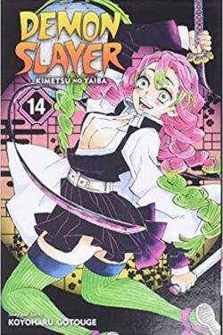 Demon Slayer: Kimetsu no Yaiba, The Mu Of Muichiro Vol.14 (English Version)