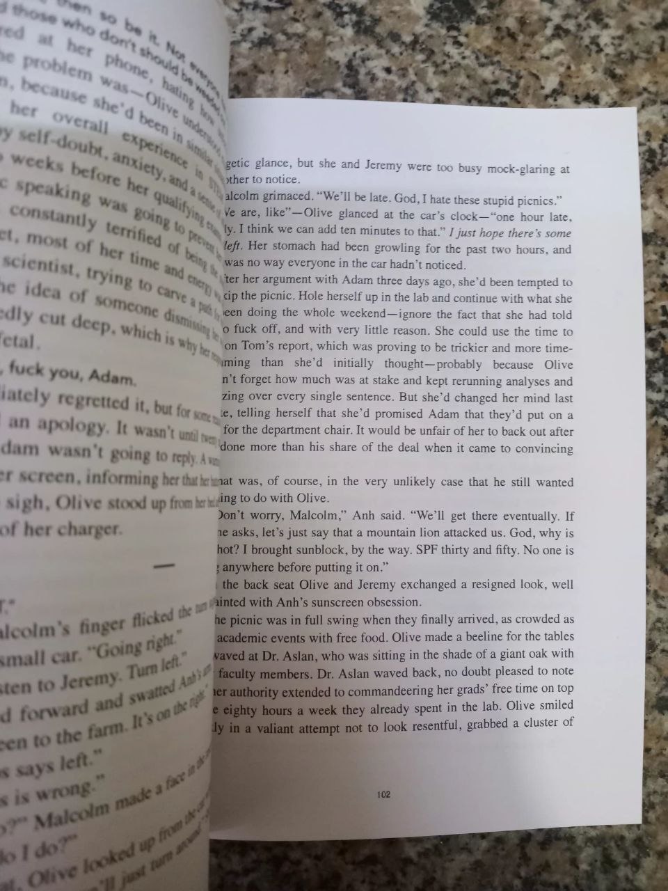 The Love Hypothesis - Image 2