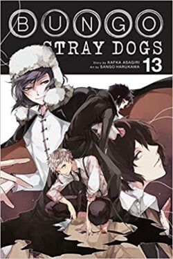 Bungo Stray Dogs Vol.13 English Version Manga