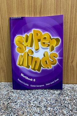 Super mind 6 workbook
