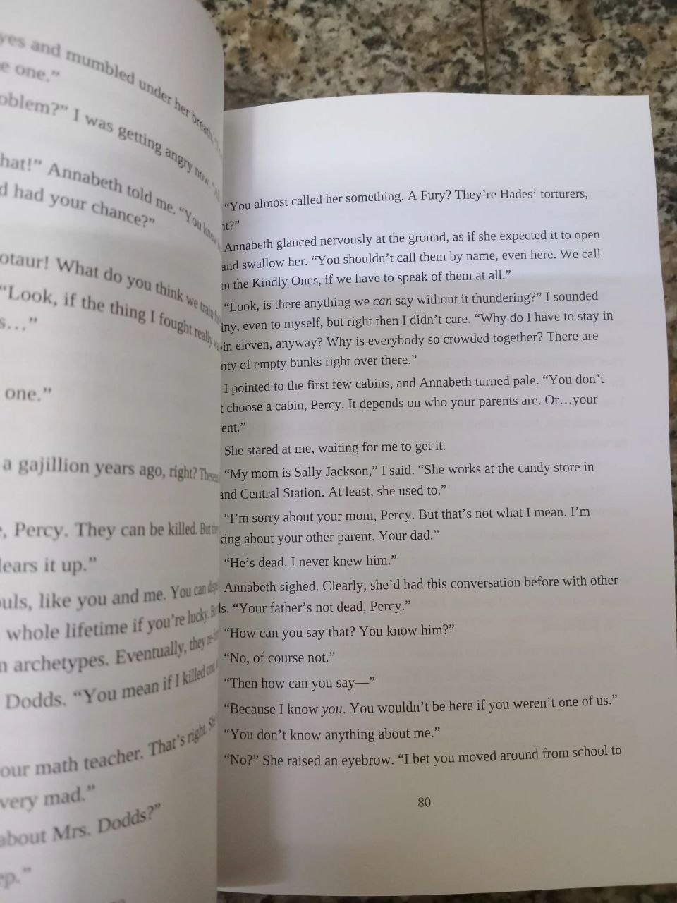 Percy Jackson and The Lighting Thief - Image 2