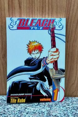 Bleach Vol.1 English Version Manga