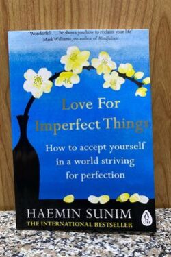Love for Imperfect Things: How to Accept Yourself in a World Striving for Perfection