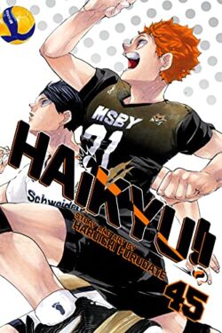 Haikyu Vol.45 English Version Manga