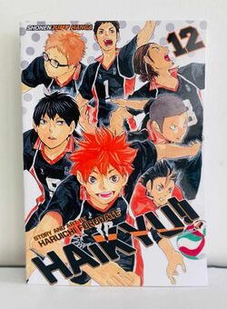 Haikyuu Vol 12 English Version