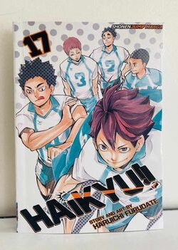 Haikyuu Vol 17 english version