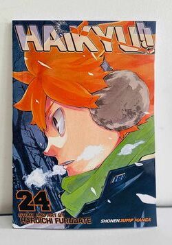 haikyuu vol 24 english version