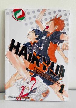 haikyuu Vol 1 english version