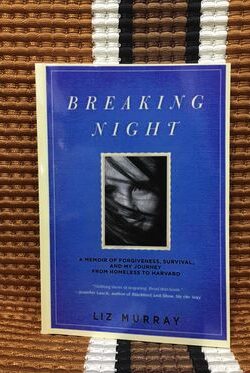Breaking night novel