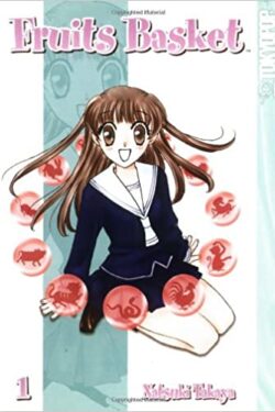 Fruits Basket, Vol. 1 English Version