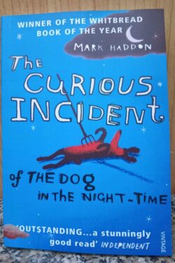 The Curious Incident of the Dog in the Night-Time