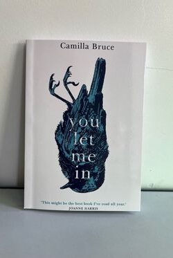 You Let Me In by Camilla Bruce