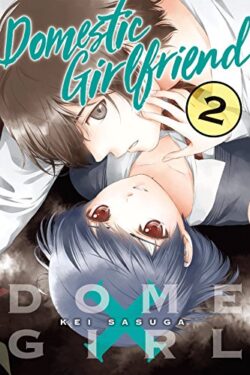 Domestic Girlfriend English Version Manga Vol 2