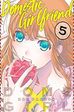 Domestic Girlfriend Vol. 5 English Version Manga