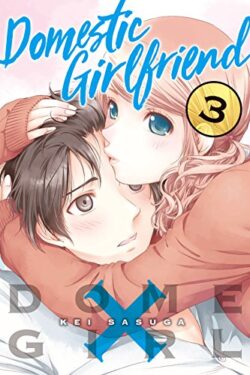 Domestic Girlfriend English Version Manga Vol 3