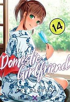 Domestic girlfriend English Version Manga Vol 14
