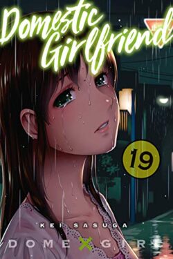 Domestic girlfriend English Version Manga Vol 19