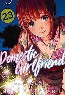 Domestic girlfriend English Version Manga Vol 23