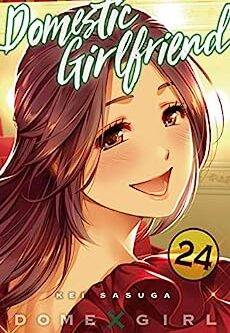 Domestic girlfriend English Version Manga Vol 24