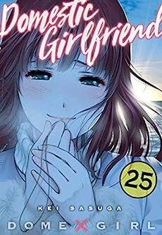 Domestic girlfriend English Version Manga Vol 25