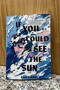 If You Could See the Sun by Ann Liang