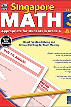 Singapore Math Level 3 B&W