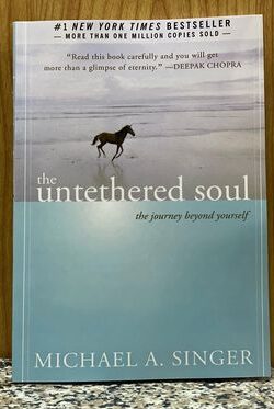 The Untethered Soul: The Journey Beyond Yourself