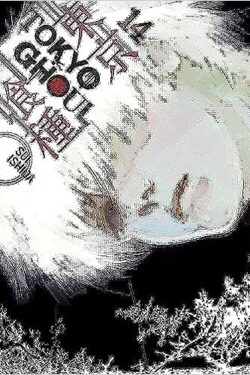 Tokyo Ghoul Vol.14 English Version Manga