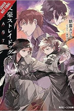 bungo stray dogs vol 6 light noval old photo