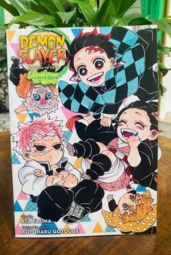 Demon slayer sign from the wind