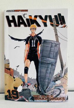 haikyuu vol 19 english version