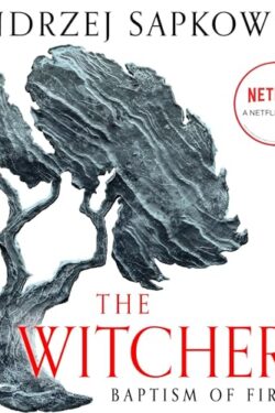 The Witcher series : Baptism of fire