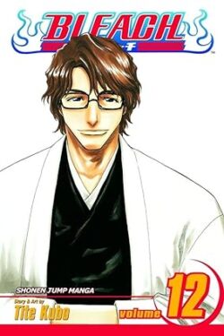 Bleach Vol.12 English Version Manga