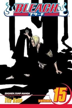 Bleach Vol.15 English Version Manga