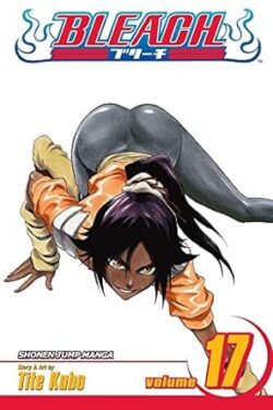 Bleach Vol.17 English Version Manga