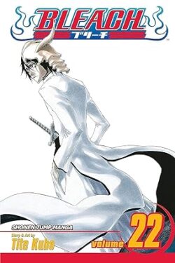 Bleach Vol.22 English Version Manga