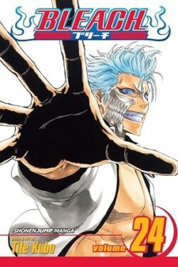 Bleach Vol.24 English Version Manga