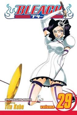 Bleach Vol.29 English Version Manga