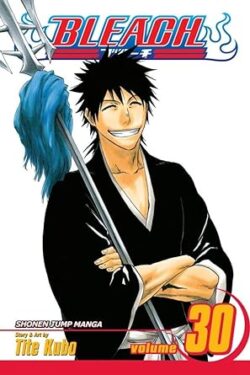 Bleach Vol.30 English Version Manga