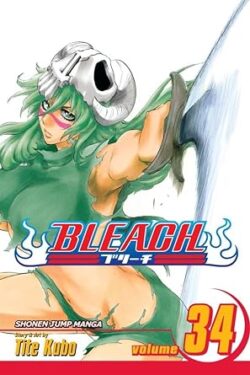 Bleach Vol.34 English Version Manga