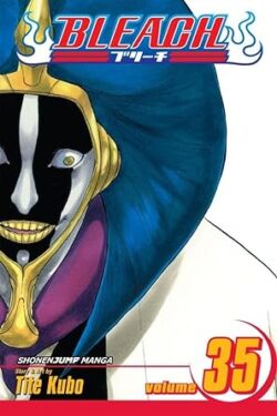 Bleach Vol.35 English Version Manga