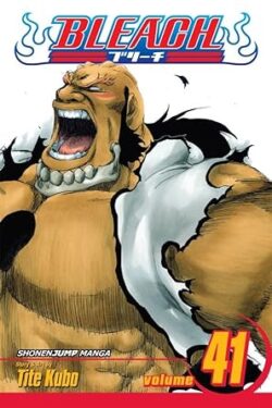 Bleach Vol.41 English Version Manga