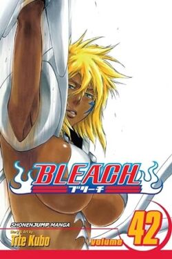 Bleach Vol.42 English Version Manga