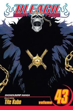 Bleach Vol.43 English Version Manga