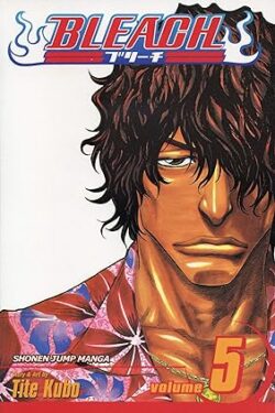 Bleach Vol.5 English Version Manga