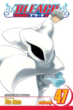 Bleach, Vol. 47 Old Photo