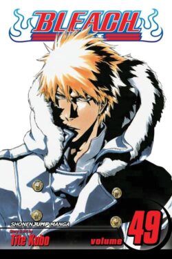 Bleach, Vol. 49 Old Photo