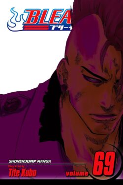 Bleach, Vol. 69 Old Photo