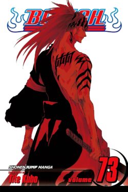 Bleach, Vol. 73 Old Photo